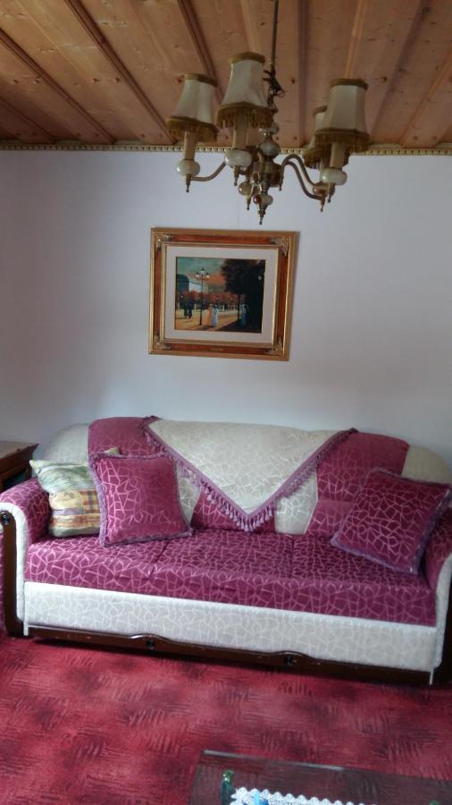 Georges Rast Villa Altaussee Ngoại thất bức ảnh