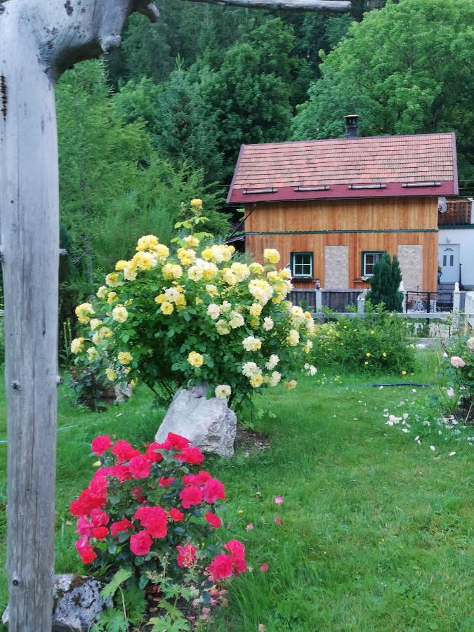 Georges Rast Villa Altaussee Ngoại thất bức ảnh
