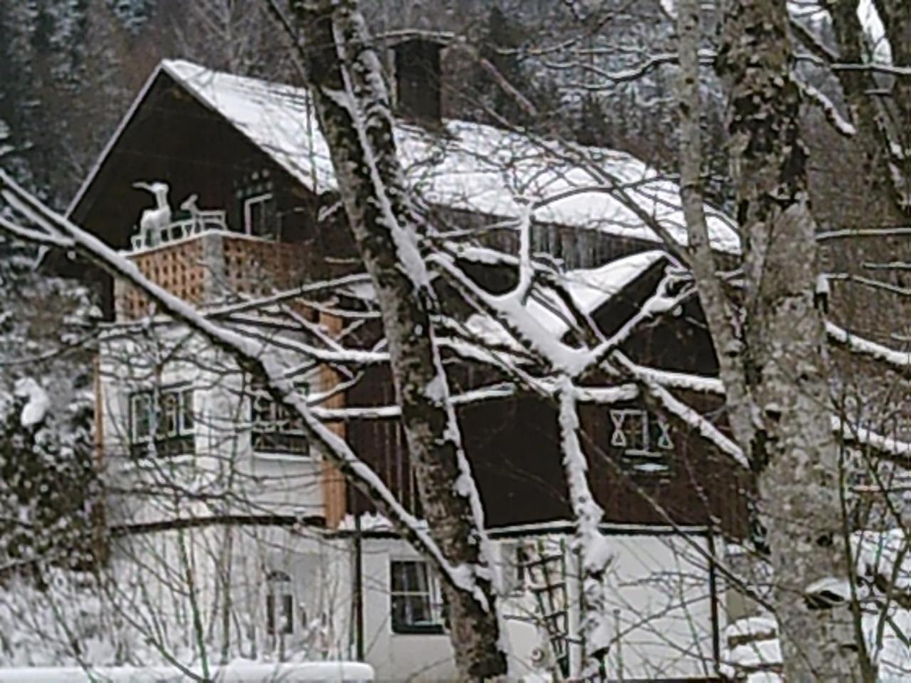 Georges Rast Villa Altaussee Ngoại thất bức ảnh