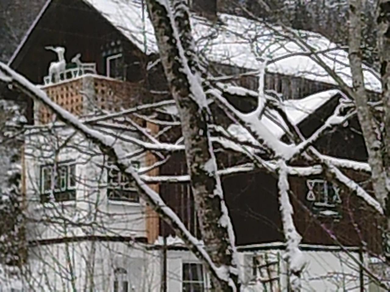 Georges Rast Villa Altaussee Ngoại thất bức ảnh