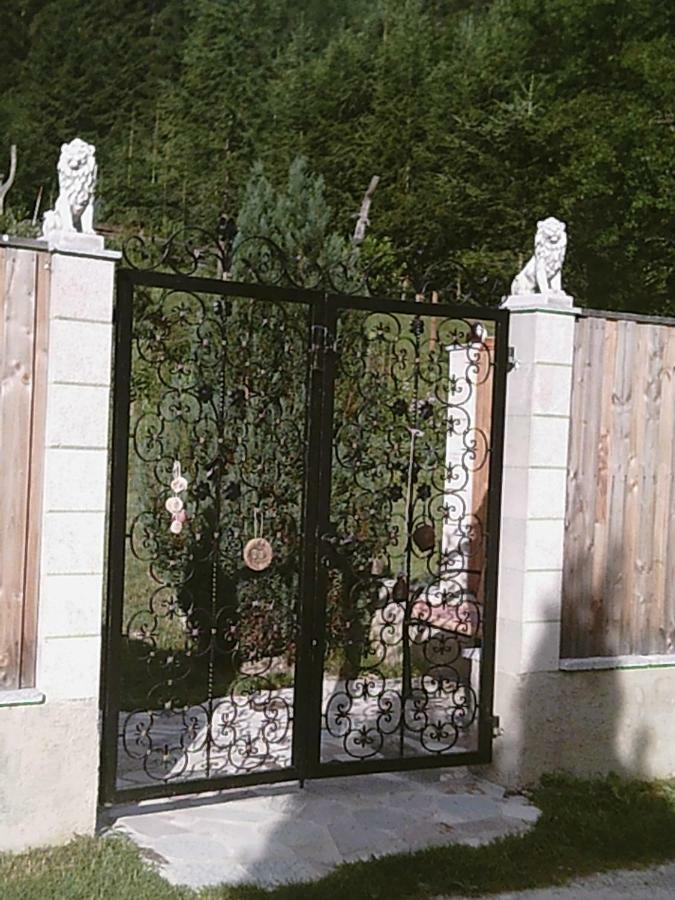 Georges Rast Villa Altaussee Ngoại thất bức ảnh